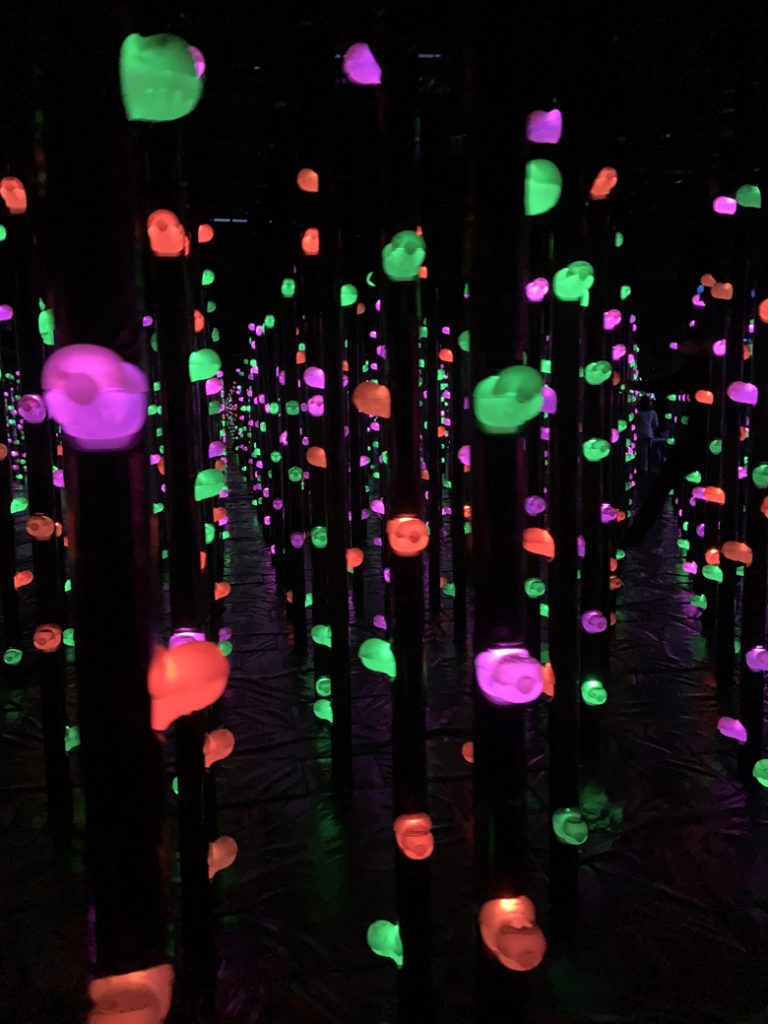 A photograph of a light room in the interactive museum TeamLab Borderless in Tokyo, Japan. Photographed by Rebecca Newnham.