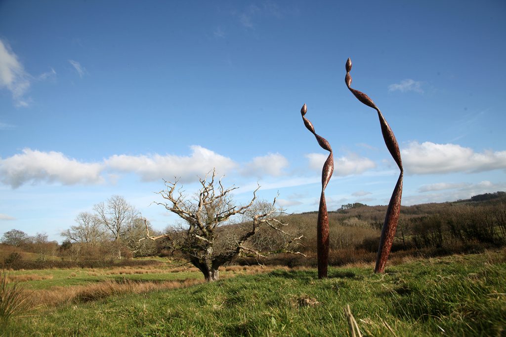 Quercus Edition in Dorset scenery